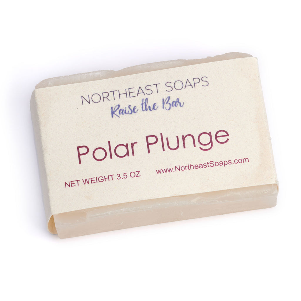Polar Plunge
